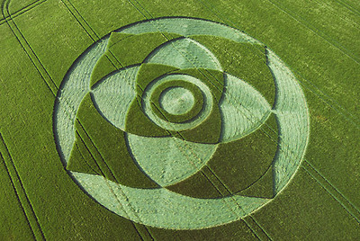 Crop circle wexcombe down OH St